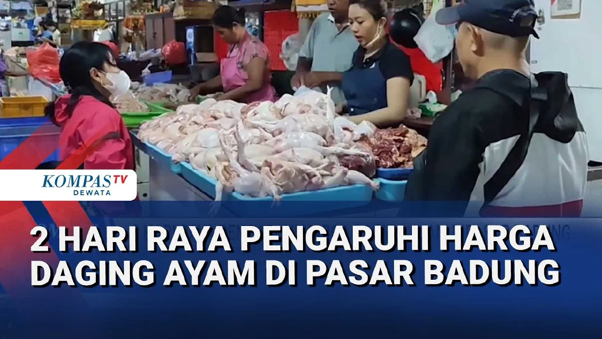 Harga Daging Ayam di Badung Capai Rp 47 Ribu per Kg
